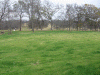 View of golf course from ground level from the back yard